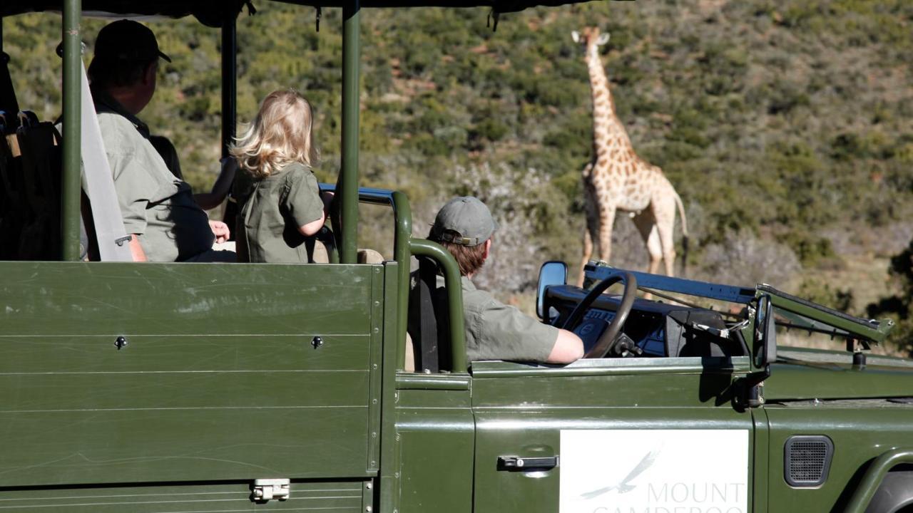 Mount Camdeboo Private Game Reserve By Newmark Graaff-Reinet Kültér fotó
